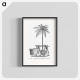 2-7_Les-Palmiers-Histoire-Iconographique_blk