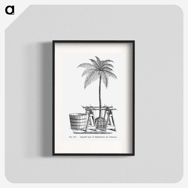 2-7_Les-Palmiers-Histoire-Iconographique_blk