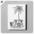2-7_Les-Palmiers-Histoire-Iconographique_canvas