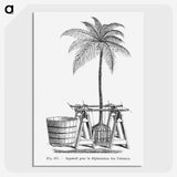 2-7_Les-Palmiers-Histoire-Iconographique_picture-crop