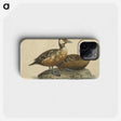 2-7_Magnus-von-Wright_phone