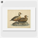 2-7_Magnus-von-Wright_picture