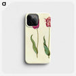 2-7_Maria-Sibylla-Merian_phone