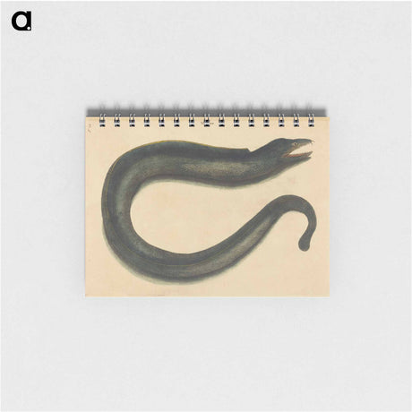 アートメモ帳-The Muray
 - マーク ケイツビー Memo.