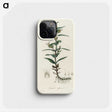 2-7_Medical-Botany_phone