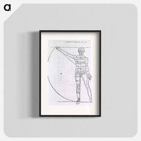 アートポスター-Illustrations on Correct Proportions of Human Anatomy
 - 国立医学図書館 Poster.