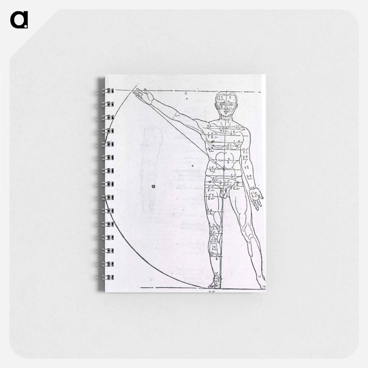 アートメモ帳-Illustrations on Correct Proportions of Human Anatomy
 - 国立医学図書館 Memo.