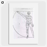 アートポスター-Illustrations on Correct Proportions of Human Anatomy
 - 国立医学図書館 Poster.