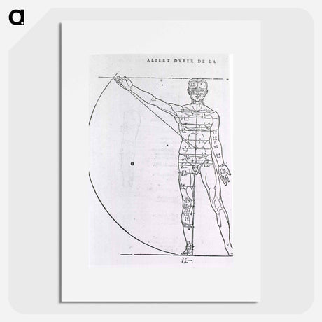 アートポスター-Illustrations on Correct Proportions of Human Anatomy
 - 国立医学図書館 Poster.
