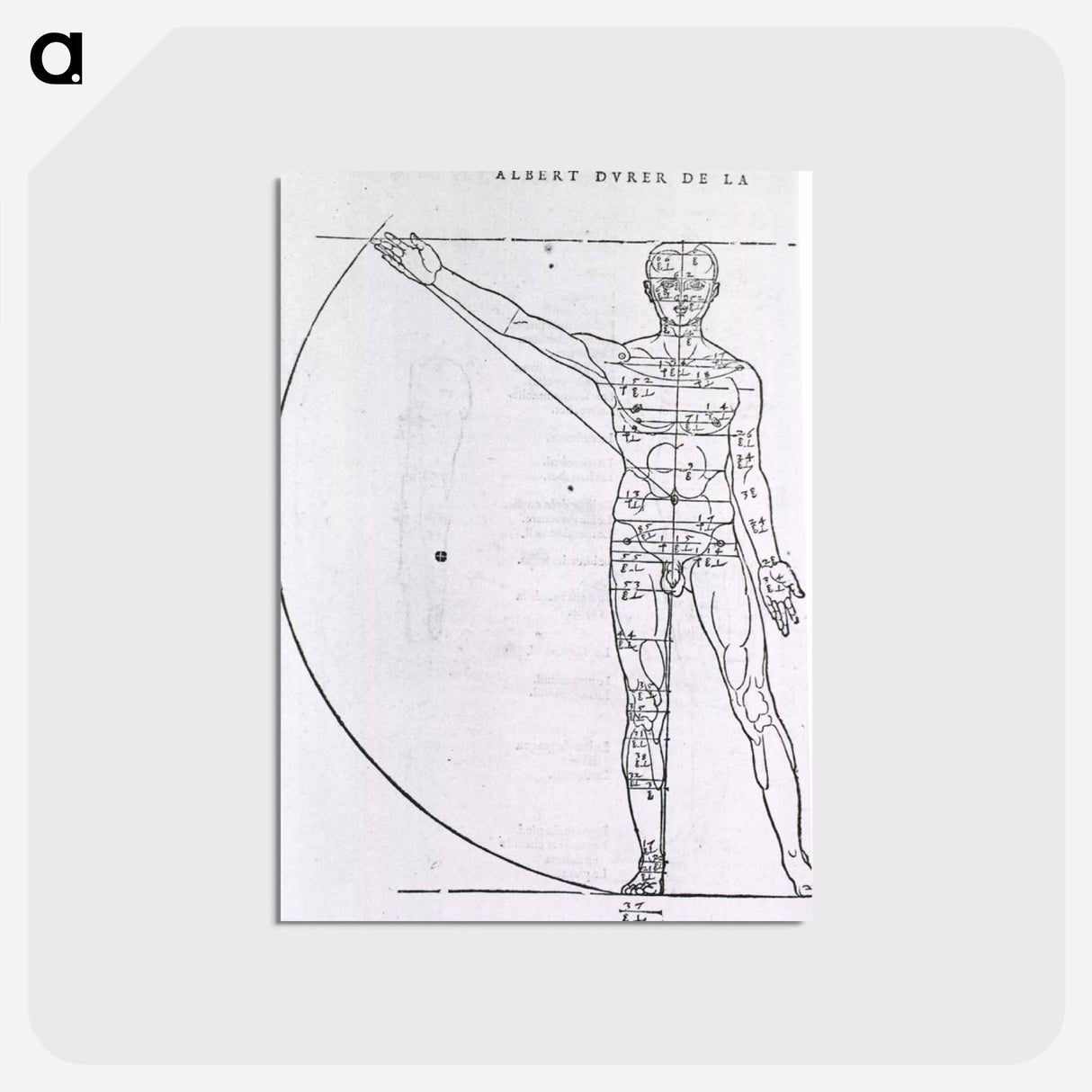 アートポストカード-Illustrations on Correct Proportions of Human Anatomy
 - 国立医学図書館 Postcard.