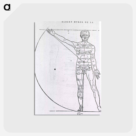 アートポストカード-Illustrations on Correct Proportions of Human Anatomy
 - 国立医学図書館 Postcard.