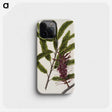 2-7_Native-Flowering-Plants-of-New-Zealand_phone