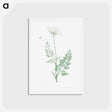 アートポストカード-Wild carrot - ピエール ジョゼフ ルドゥーテ Postcard.