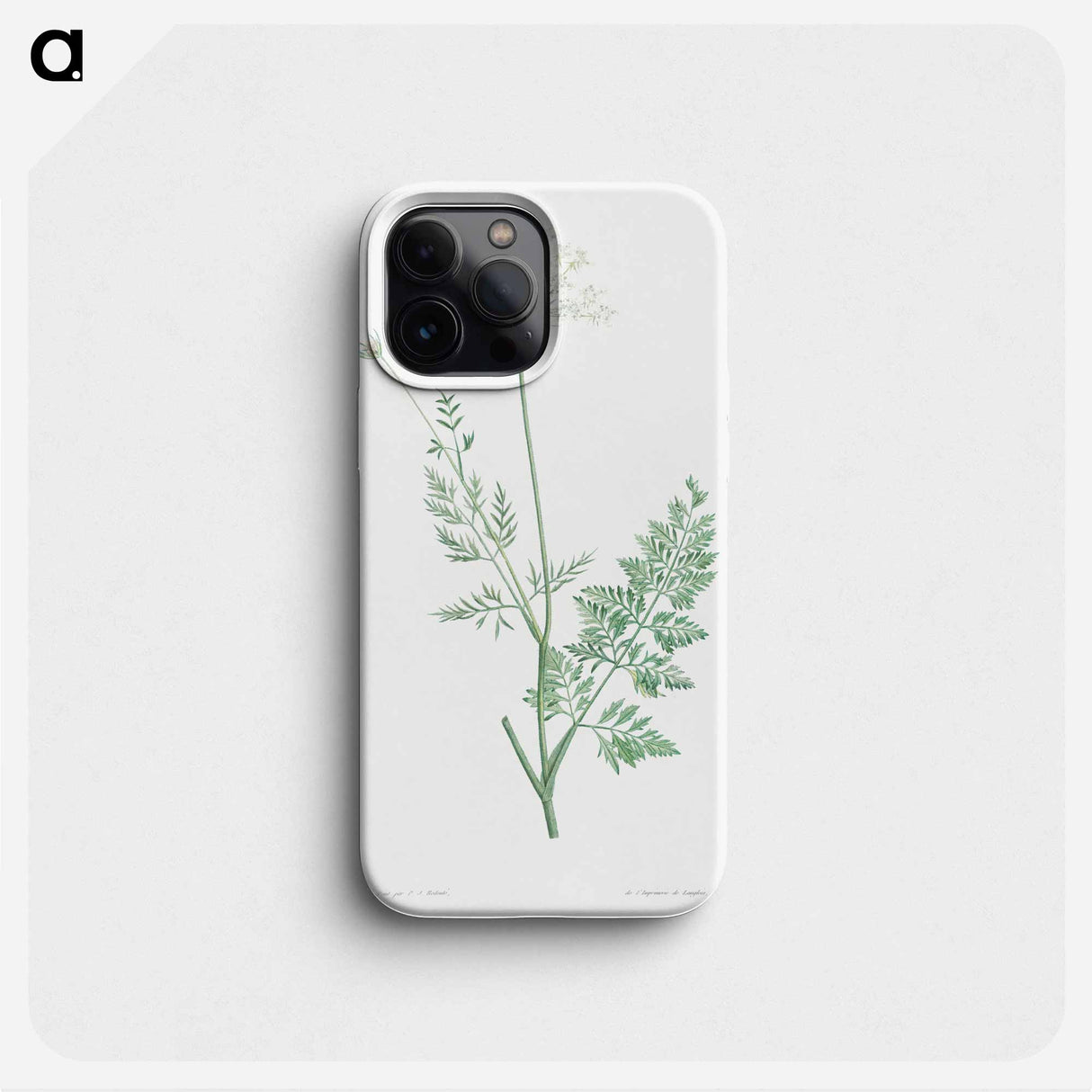 Wild carrot - ピエール ジョゼフ ルドゥーテ Phone Case.