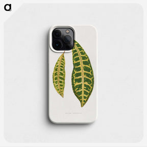 2-7_Plants-with-Colored-Foliage_phone