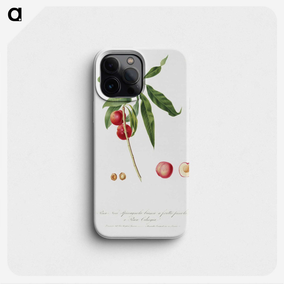 2-7_Pomona-Italiana_phone