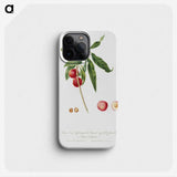 2-7_Pomona-Italiana_phone