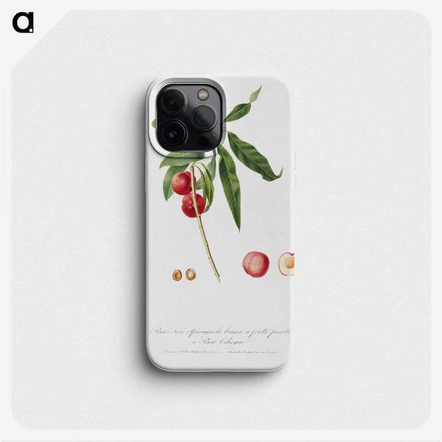 2-7_Pomona-Italiana_phone