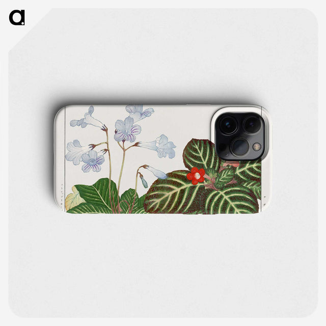 2-7_Seiyo-Soka-Zufu_phone