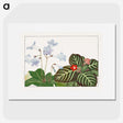 2-7_Seiyo-Soka-Zufu_picture