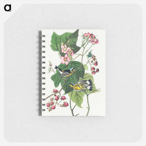 アートメモ帳-Black & Yellow Warblers from Birds of America
 - アメリカの鳥たち Memo.