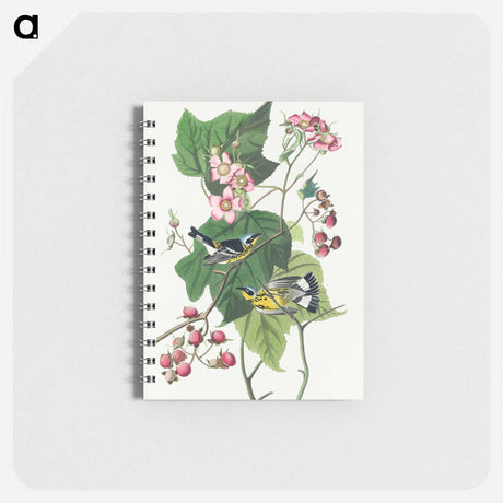 アートメモ帳-Black & Yellow Warblers from Birds of America
 - アメリカの鳥たち Memo.