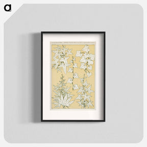 アートポスター-Grammar of Ornament Illustration
 - 装飾の文法 Poster.