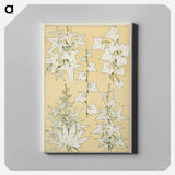 アートパネル-Grammar of Ornament Illustration
 - 装飾の文法 Canvas.
