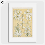 アートポスター-Grammar of Ornament Illustration
 - 装飾の文法 Poster.