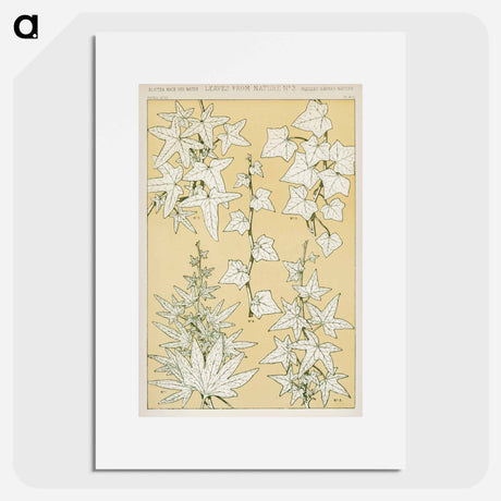 アートポスター-Grammar of Ornament Illustration
 - 装飾の文法 Poster.