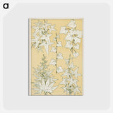 アートポストカード-Grammar of Ornament Illustration
 - 装飾の文法 Postcard.
