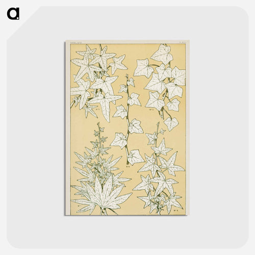 Grammar of Ornament Illustration
 - 装飾の文法 Postcard.