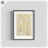 2-7_The-Grammar-of-Ornament_blk