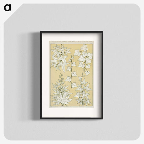 2-7_The-Grammar-of-Ornament_blk