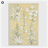 2-7_The-Grammar-of-Ornament_picture-crop