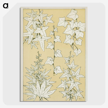 2-7_The-Grammar-of-Ornament_picture-crop