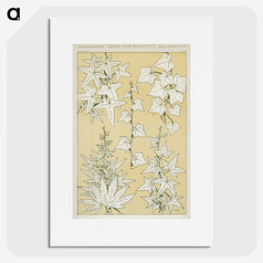 2-7_The-Grammar-of-Ornament_picture