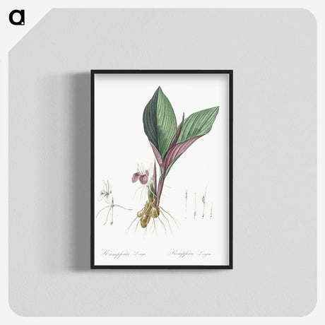 2-7_The-Lilies_blk-crop