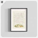 アートポスター-Cow Wheat from Mira Calligraphiae Monumenta
 - 書道のお手本 Poster.
