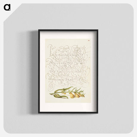 アートポスター-Cow Wheat from Mira Calligraphiae Monumenta
 - 書道のお手本 Poster.