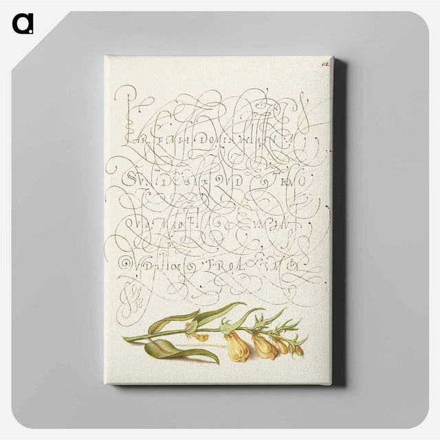 アートパネル-Cow Wheat from Mira Calligraphiae Monumenta
 - 書道のお手本 Canvas.