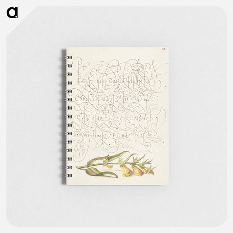アートメモ帳-Cow Wheat from Mira Calligraphiae Monumenta
 - 書道のお手本 Memo.