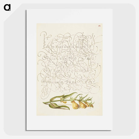 アートポスター-Cow Wheat from Mira Calligraphiae Monumenta
 - 書道のお手本 Poster.