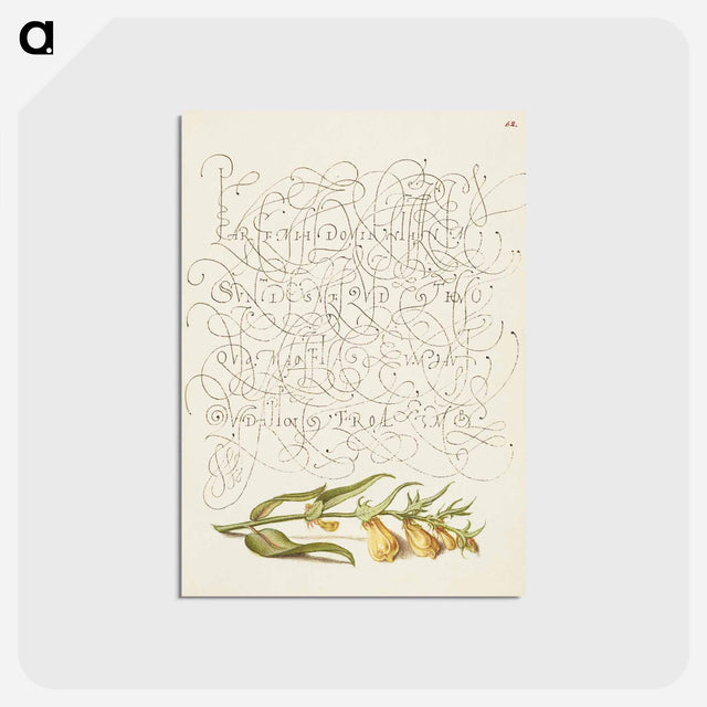 アートポストカード-Cow Wheat from Mira Calligraphiae Monumenta
 - 書道のお手本 Postcard.