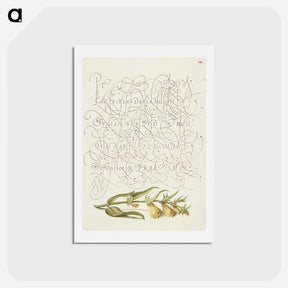 2-7_The-Model-Book-of-Calligraphy_hagaki