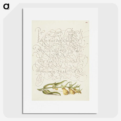 2-7_The-Model-Book-of-Calligraphy_picture