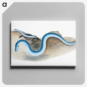 2-7_The-Natural-History-of-British-Fishes_canvas