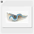 2-7_The-Natural-History-of-British-Fishes_picture