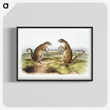 2-7_The-Viviparous-Quadrupeds_blk-crop