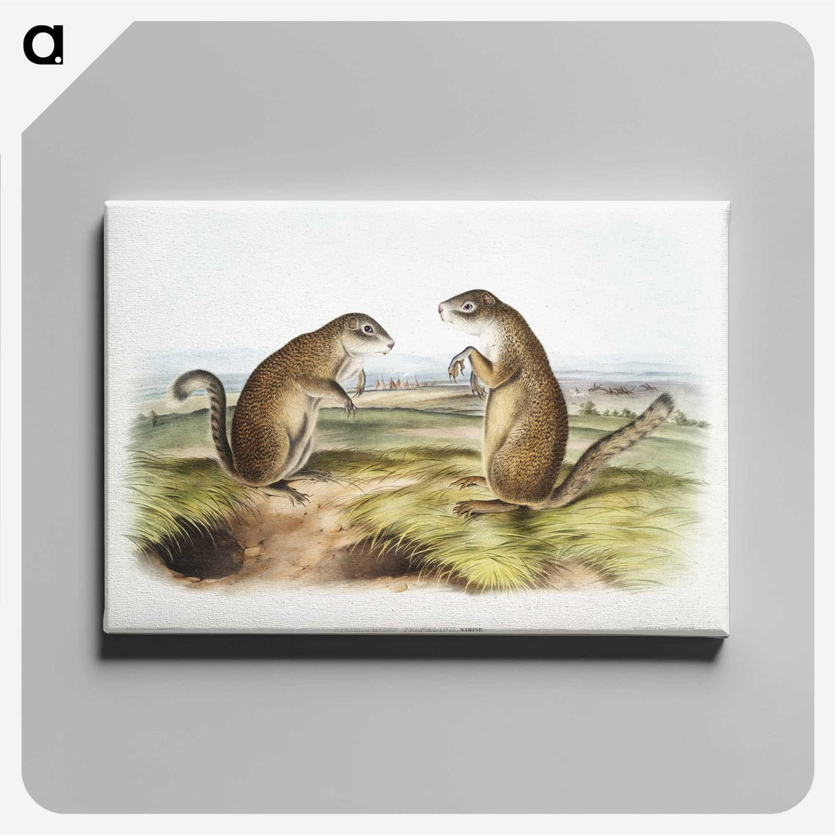 2-7_The-Viviparous-Quadrupeds_canvas